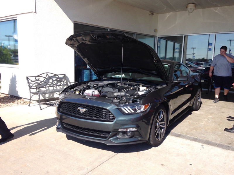 Illustration for article titled More pics of the Mustang
